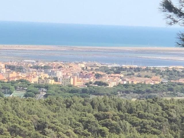 Gruissan Appartement Calme, Vue Sur Port De Plaisance -Clim, Empl.Parking Exterior photo
